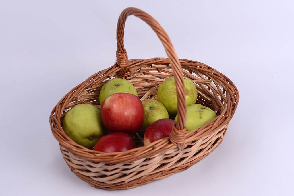 Rusija ponovo zabranila uvoz jabuka iz BiH 