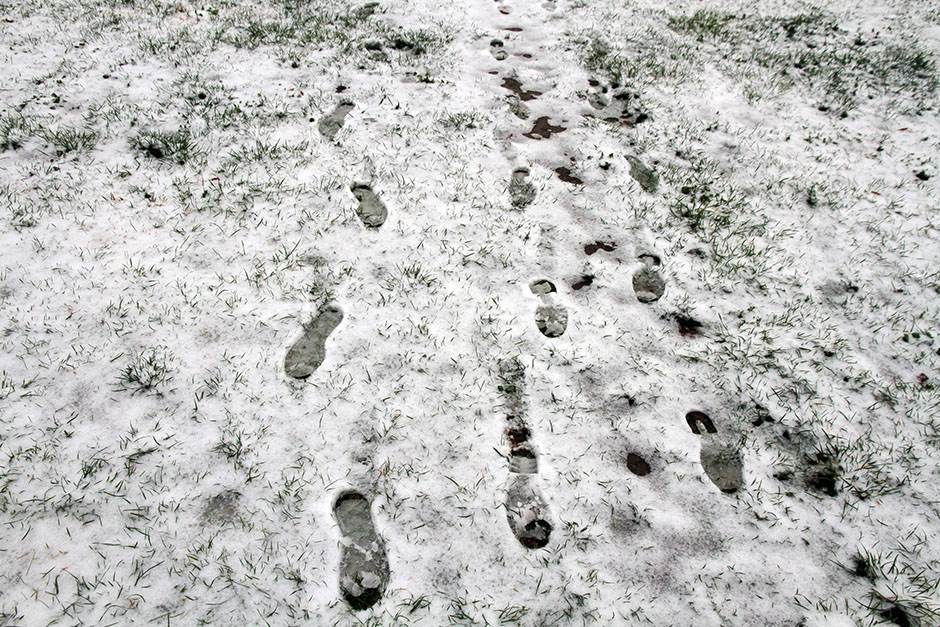  Srbija: Nađeni smrznuti u snegu 