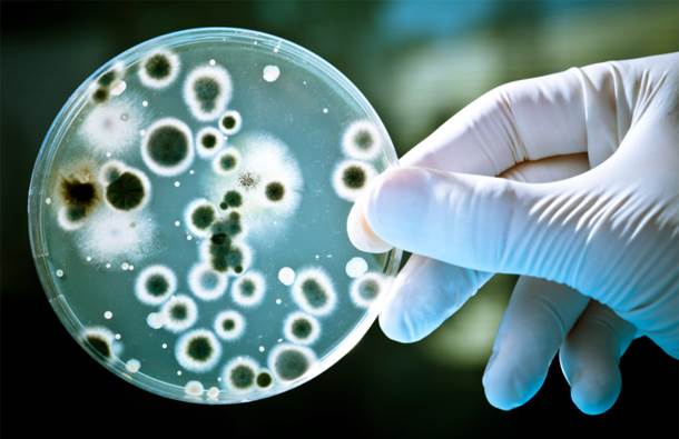  Uzbuna: Prva bakterija otporna na SVE antibiotike 