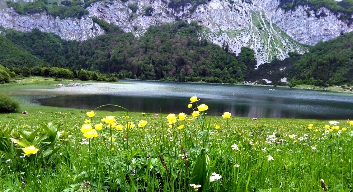  Ekolozi: Budućnost Sutjeske zavisi od nas 