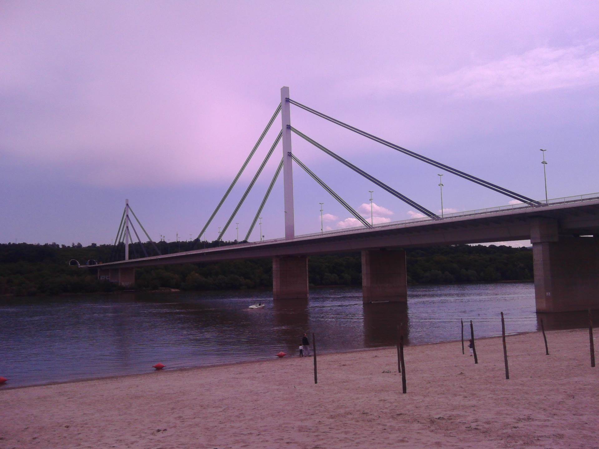  Novi Sad: Pogodila je pjesma, pa skočila s mosta 