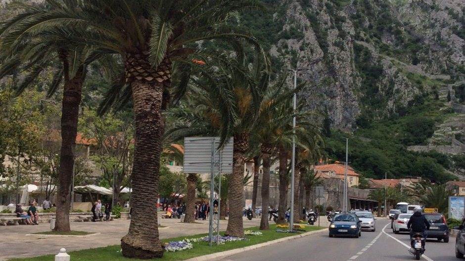  Kotor: Mafijaški napad bombom, dvojica mrtvih 