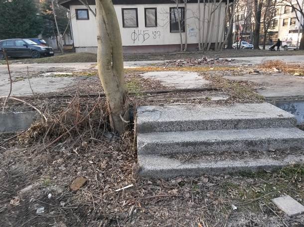 Paskulina ciglana Paskulina ciglana