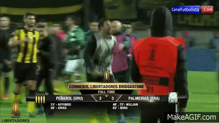  Tuča SVIH na stadionu! (VIDEO) 