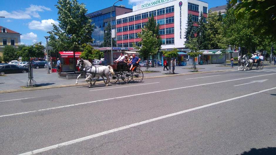  Banjaluka: Kočije s konjima (FOTO) 