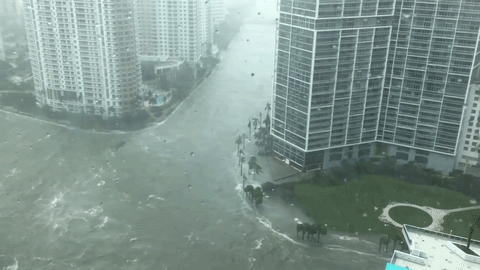  Irma kida na Floridi, reke teku ulicama (VIDEO) 