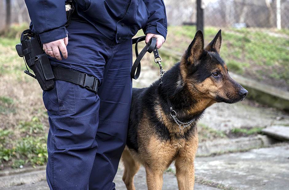  Psi će otkrivati drogu na hrvatskim granicama 