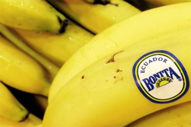  "Koka-banana": Brod pun droge u luci Bar! 