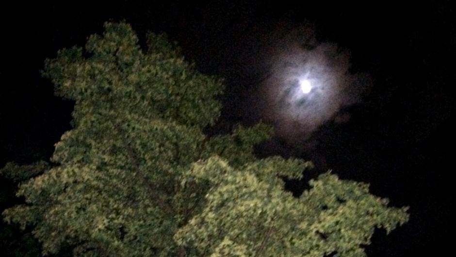  Sutra uveče gledajte u nebo: Prisustvovaćete rijetkom fenomenu - "plavi Mjesec" osvjetlaće noć! 