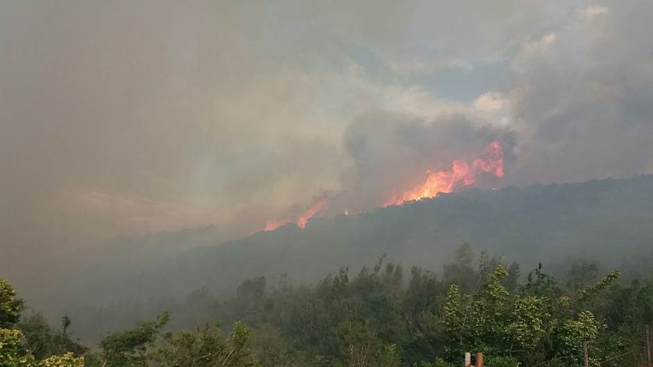  Požari u Nacionalnom parku Fruška gora   