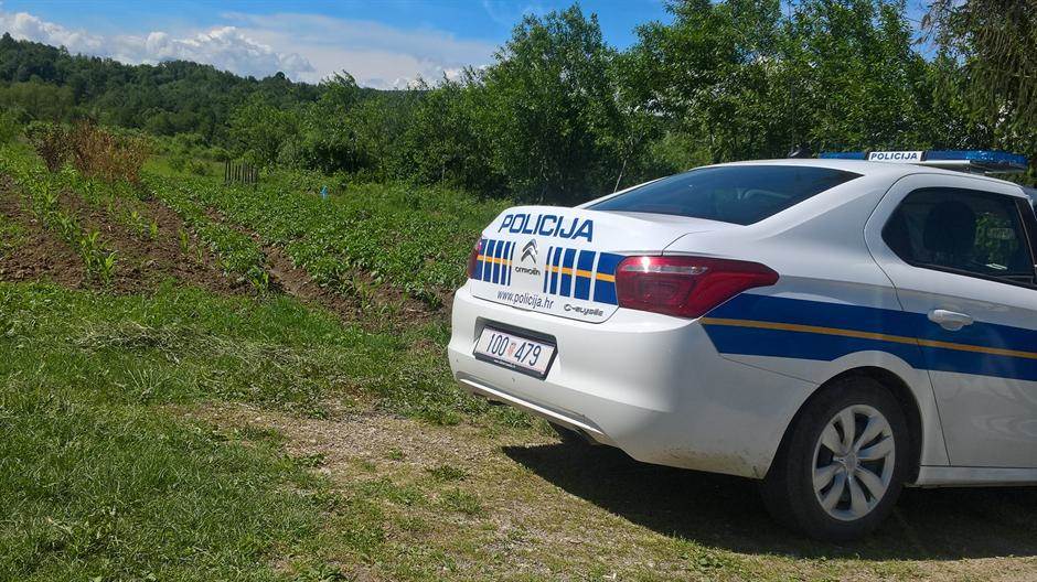  Policajci obarali saobraćajne znakove pa vređali kolege tokom privođenja 