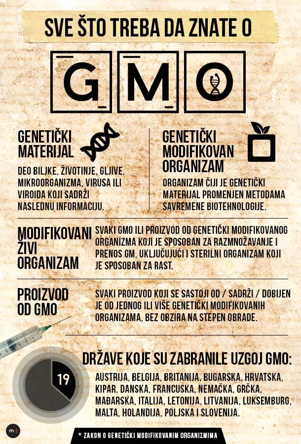 GMO GMO