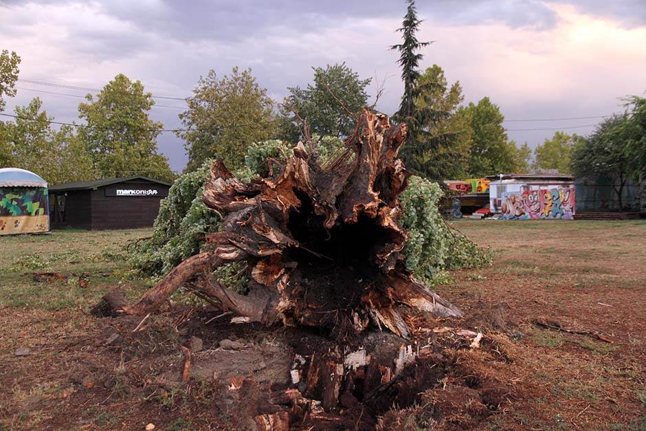  Haos u Hrvatskoj: Vetar čupa stabla, najgore tek stiže 