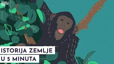 Istorija svega - ukratko (VIDEO) 