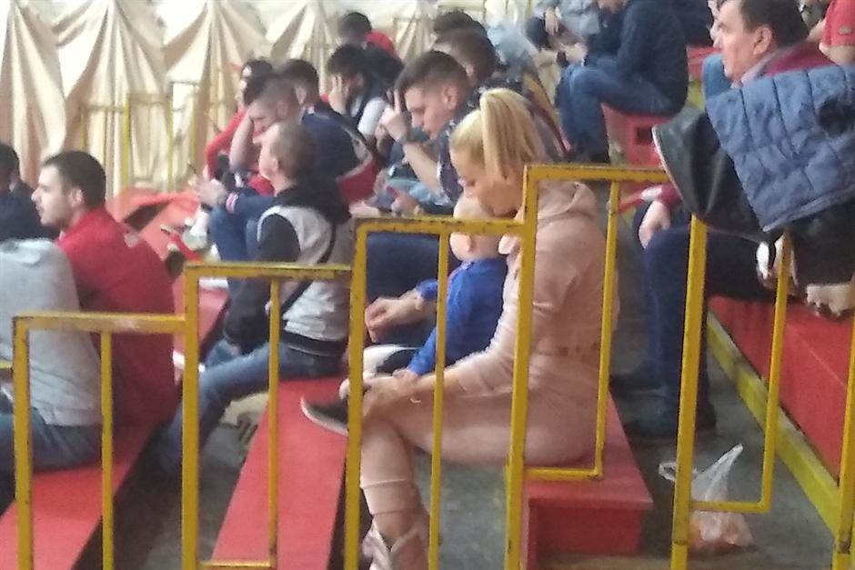 Milica Dabović