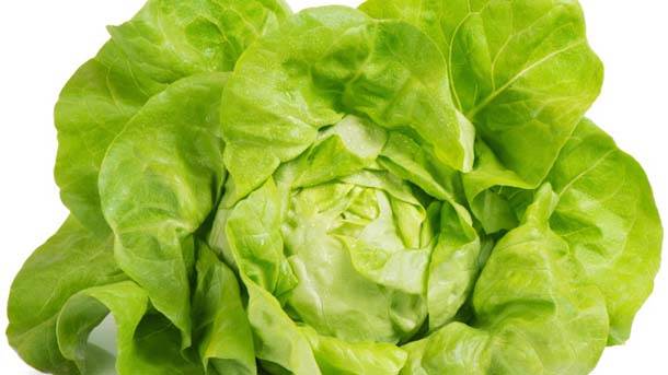  Zelena salata nikla u svemiru 