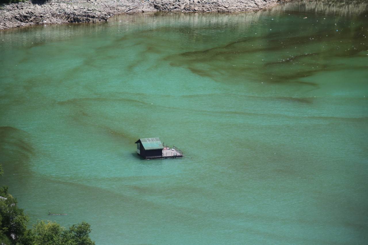  Alge u jezeru Bočac cvjetanje 