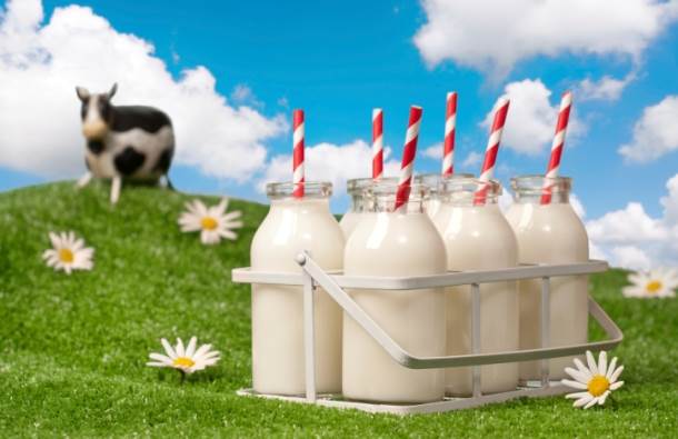  BiH dozvoljen izvoz mlijeka u EU 