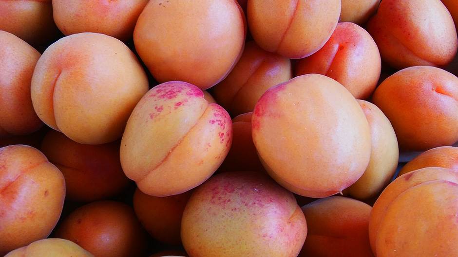  Rod domaćeg voća prepolovljen, očekuje se znatan rast cijena 