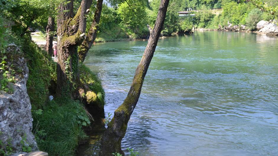   Mač iz Vrbasa krajem avgusta vade iz rijeke 