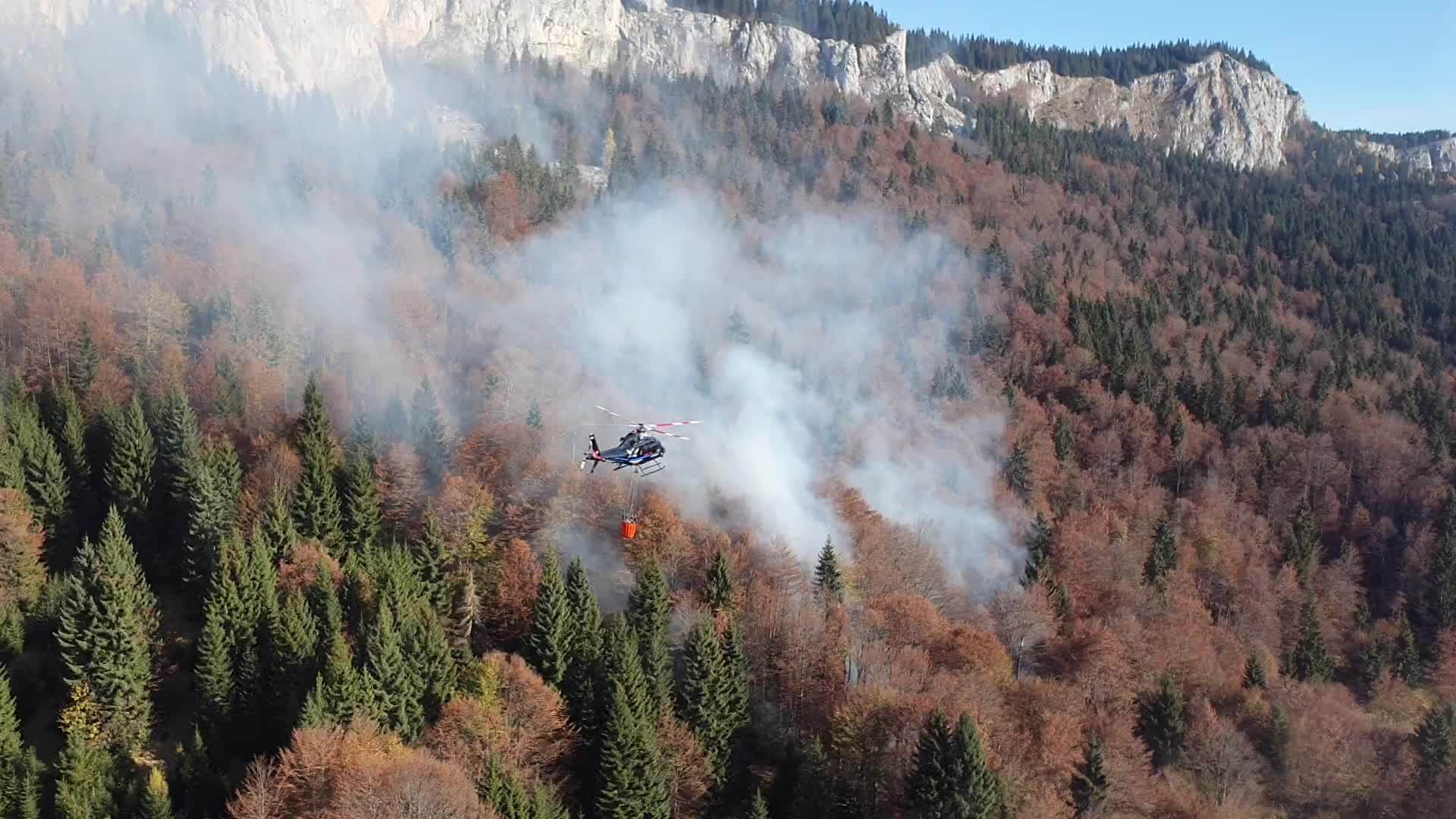  Spasavanje endemske vrste: Helikopteri gase požar kod Višegrada, stigla pomoć i iz Srbije (VIDEO) 