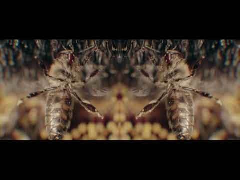  Hit dana MONDO redakcije 