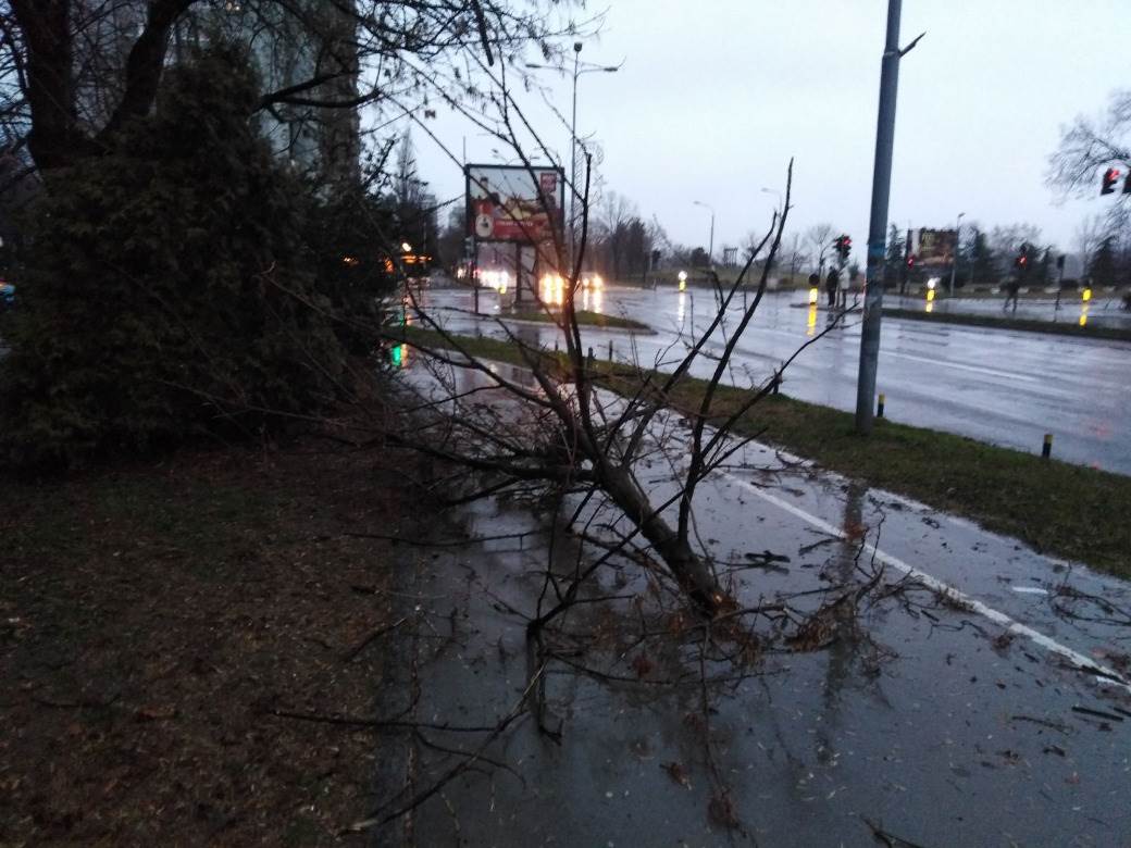  Zabelela se Istra! Jako nevreme pustošilo po poljima 