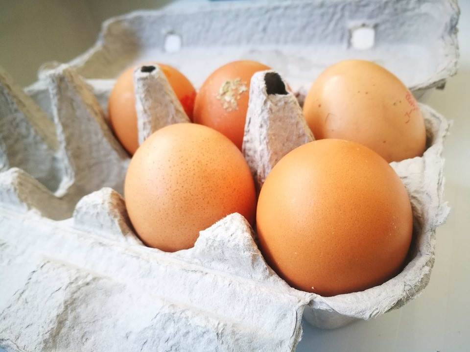  Izvoz jaja iz BIH u EU 
