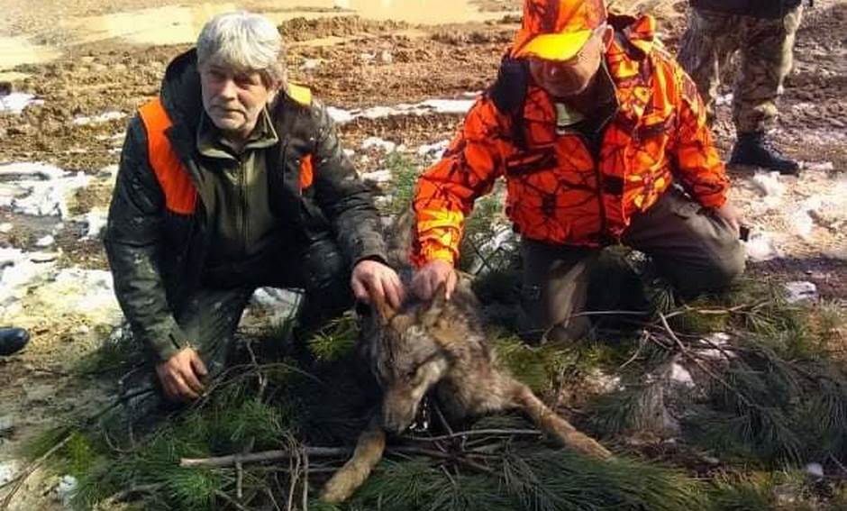  Na Ozrenu odstrijeljen vuk, među lovcima i Dodik (FOTO) 