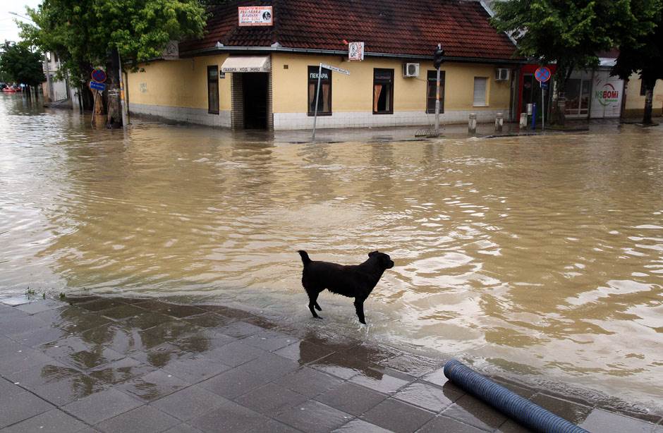  Poplave u Srbiji odnele 57 života 