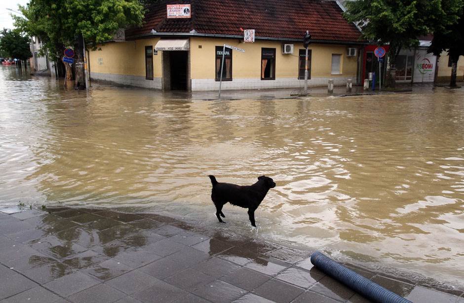  Brčaci nezadovoljni podjelom novčane pomoći 