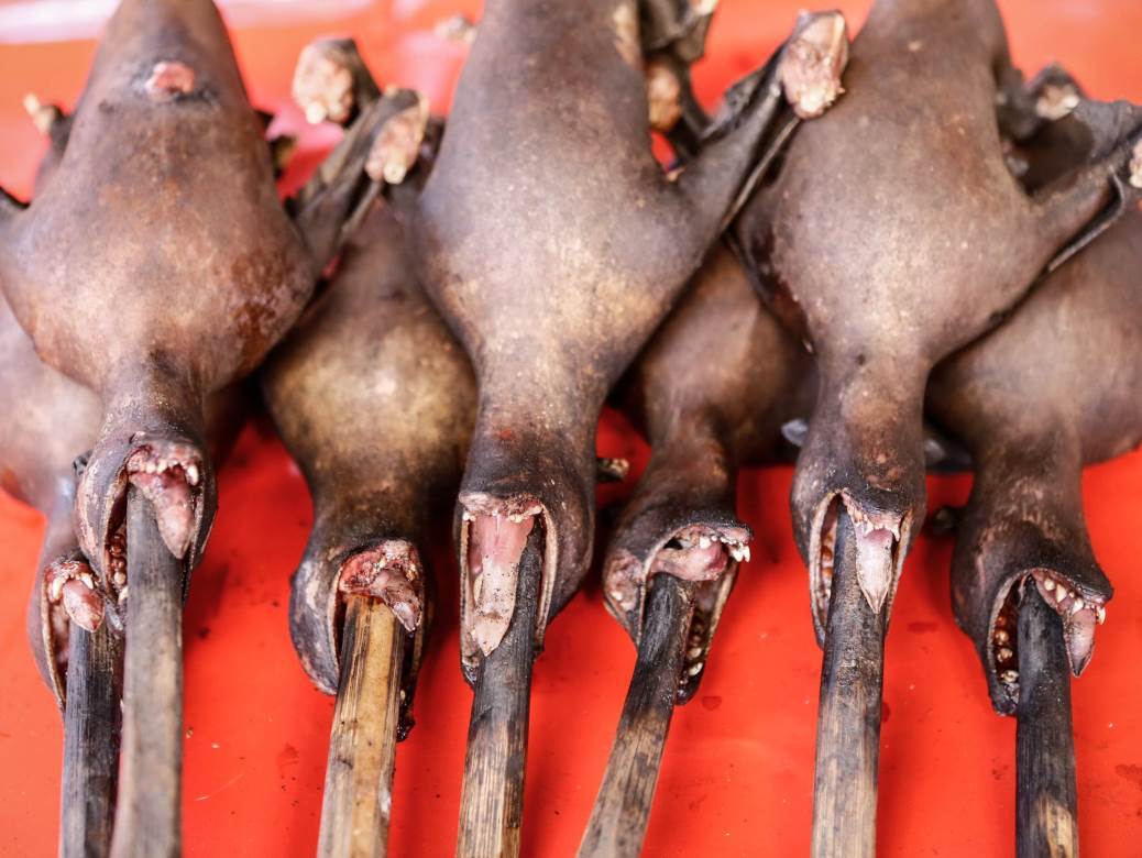  U Vuhanu konačno zabranjeno jesti divlje životinje 