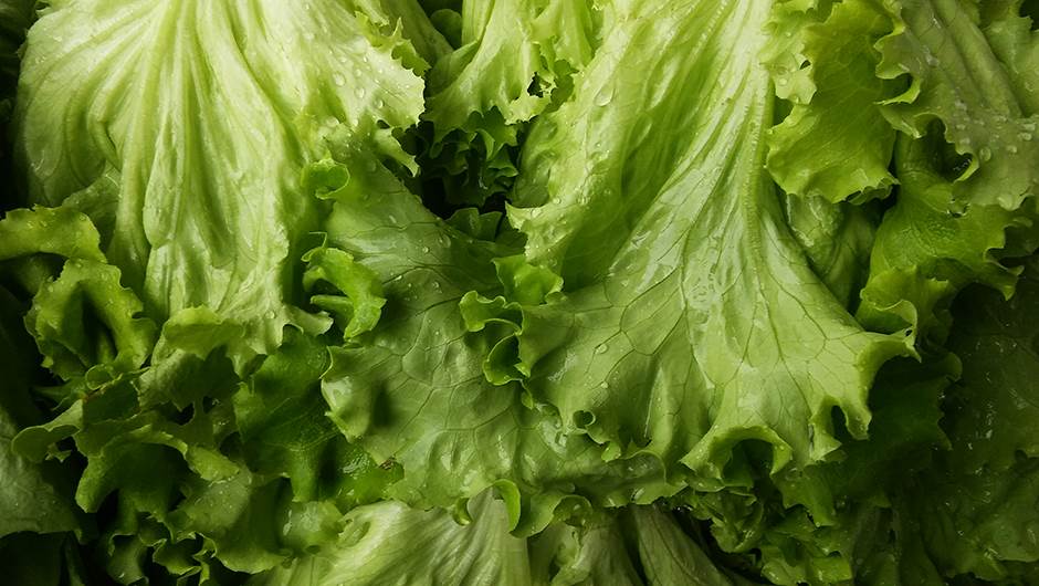  Proljećna trpeza: Zašto treba da jedete zelenu salatu 