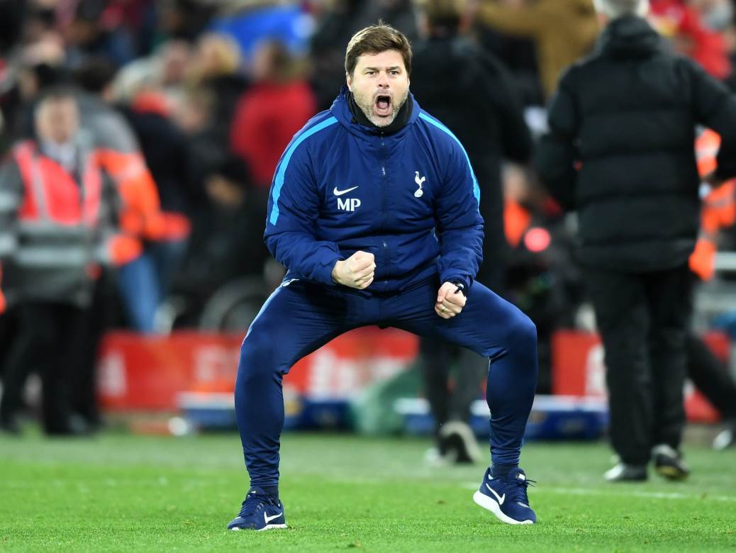  Poketino junior u Totenhemu 