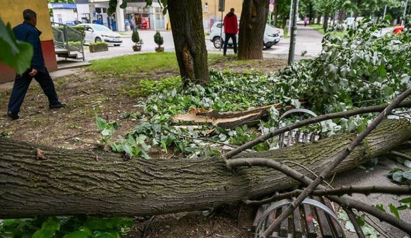  Banjaluka: Vjetar rušio stabla, lupao automobile (FOTO) 