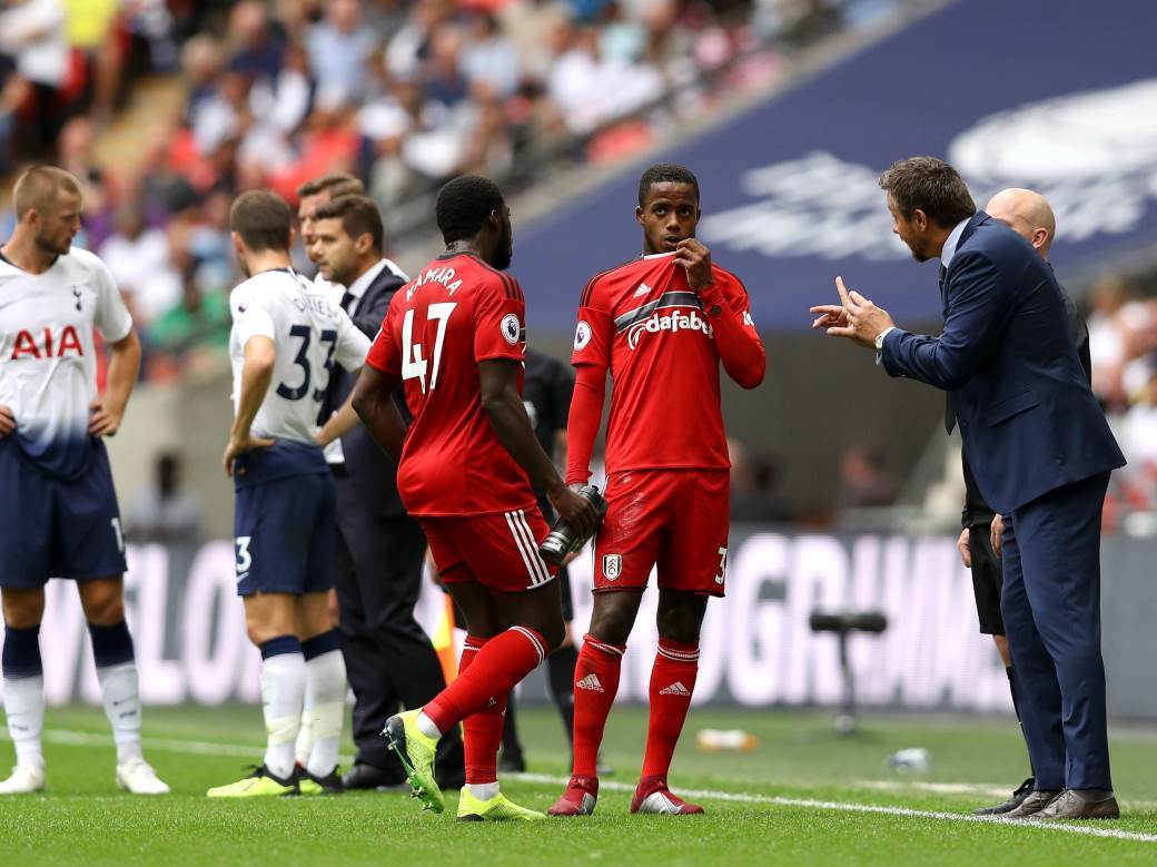  Crvena-zvezda-Hofenhajm-Liga-Evrope-pojacanje-Aleksandar-Mitrovic 