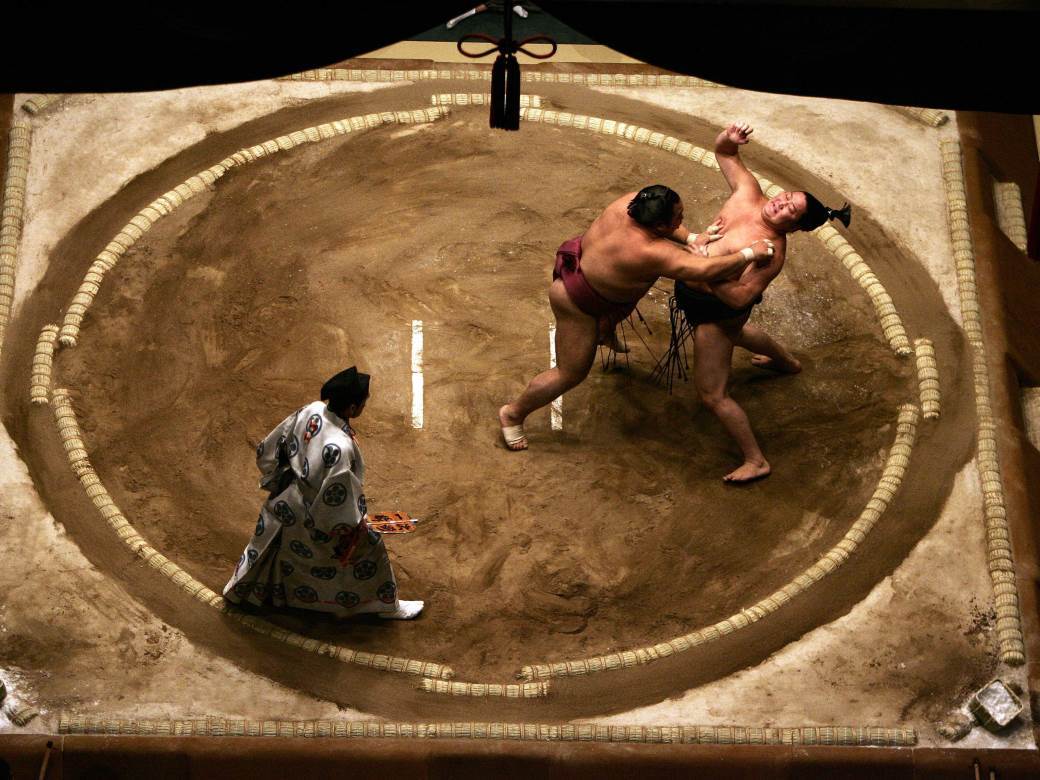 sumo rvači