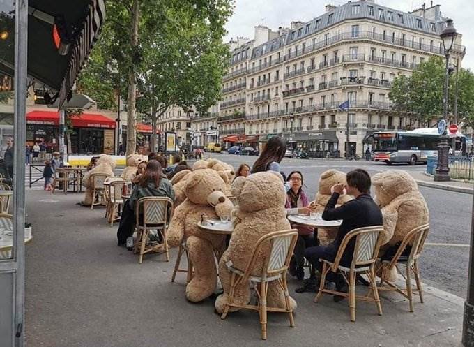  Pariz: Za sigurnu distancu u kafiću zaduženi - medvjedi 