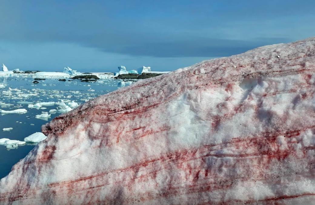  Izmjerena najmanja količina leda na Antarktičkom moru 