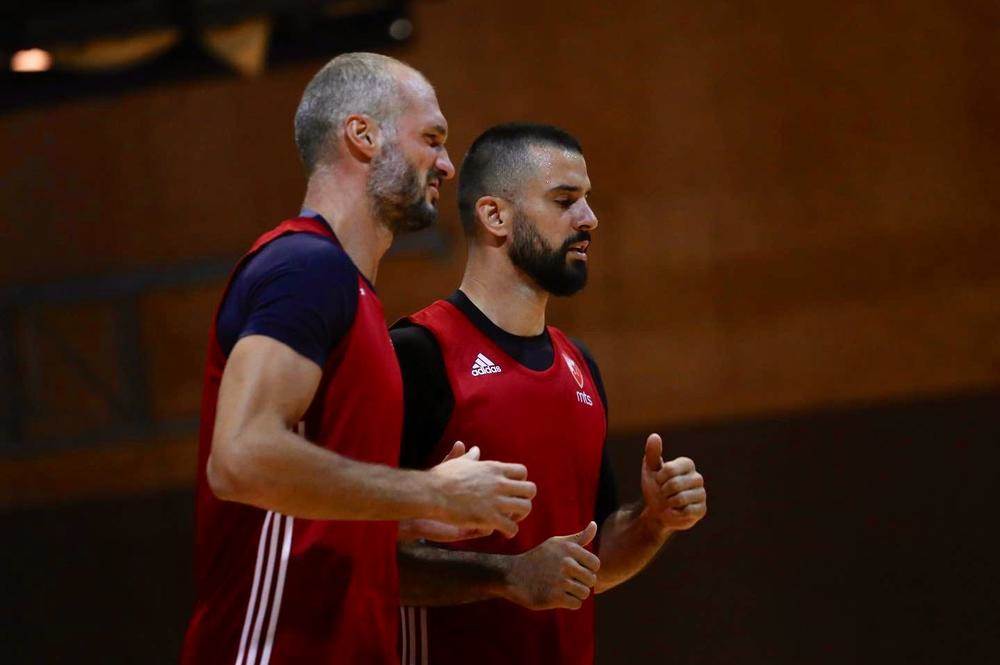 košarka, zvezda, simonović, lazić