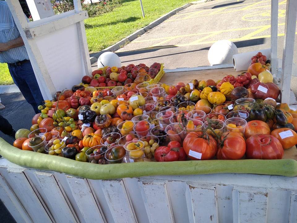  Gradski baštovani Banjaluka izložba 