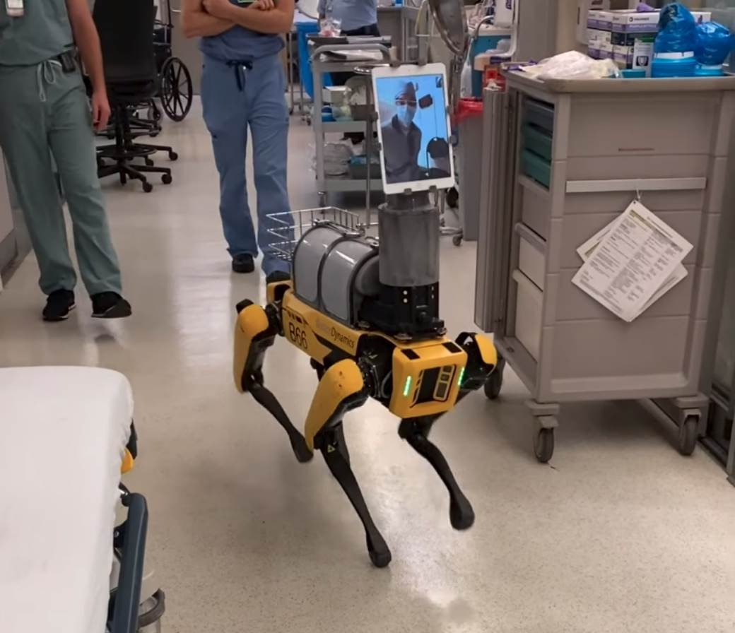  Robot pas može da nanjuši koronavirus sa dva metra (VIDEO) 