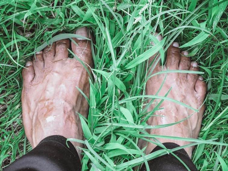  Đoković Majka Zemlja 