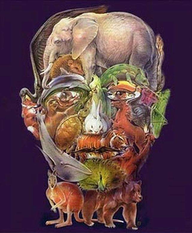  Brzi test za otkrivanje neizlečive bolesti je prevara? Samo retki vide kamilu na slici, a ona je ključ! 