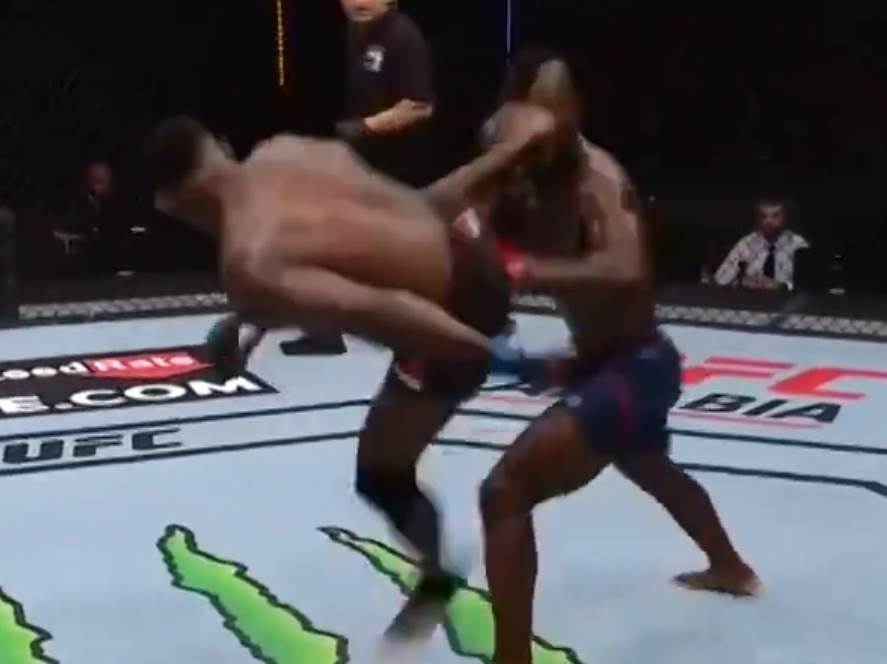  MMA nevjerovatan nokaut Hoakin Bakli 