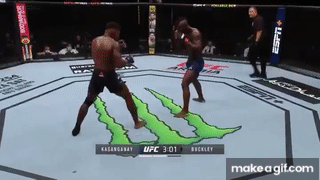 MMA nokaut godina 