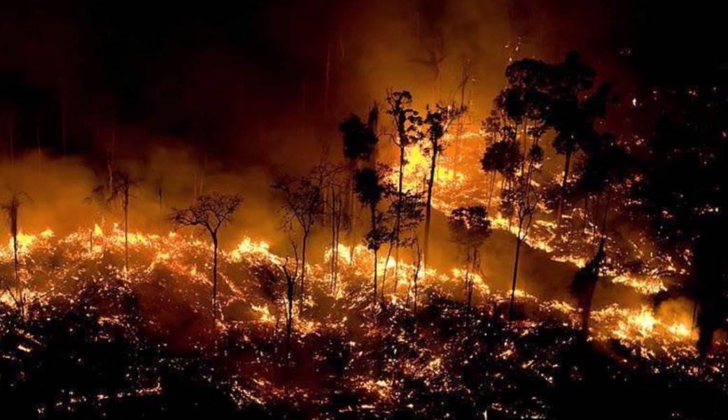 Brazil: Više od 86 hiljada požara bukti u šumama, vatrogasci odbijaju da ih gase 