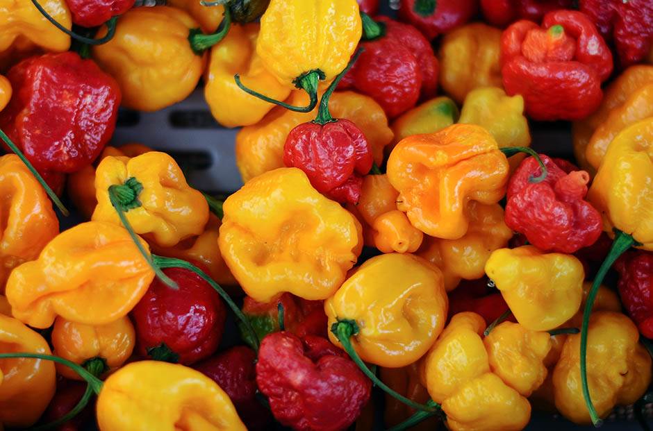 fish fest, ljuta paprika, papričica, povrće, paprike, pijaca,