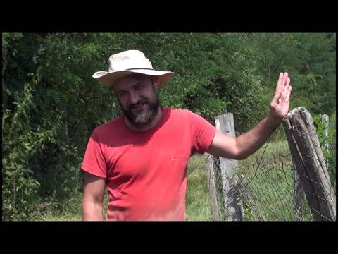  Hit dana: Mikula - Tolko o tom 