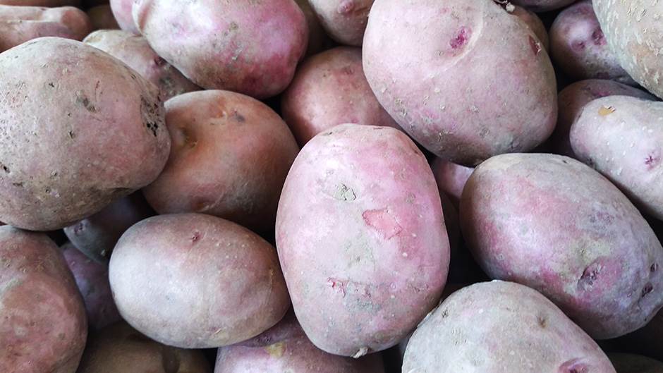  U BiH zabranjen uvoz 22 tone krompira iz Italije 